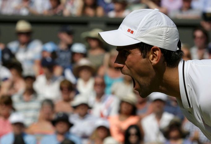 Novak Djokovič ve finále Wimbledonu 2013