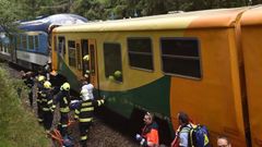 vlak, nehoda, Pernink, Karlovarský kraj