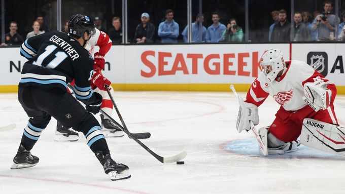 Petr Mrázek oblékne v NHL dres Anaheimu