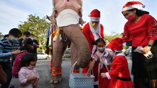 Santa Claus na slonovi v Thajsku rozdává roušky.