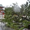 Fotogalerie / Tajfun Jebi zasáhl Japonsko / Počasí / Zahraničí / Reuters / 4. 9. 2018 / 21