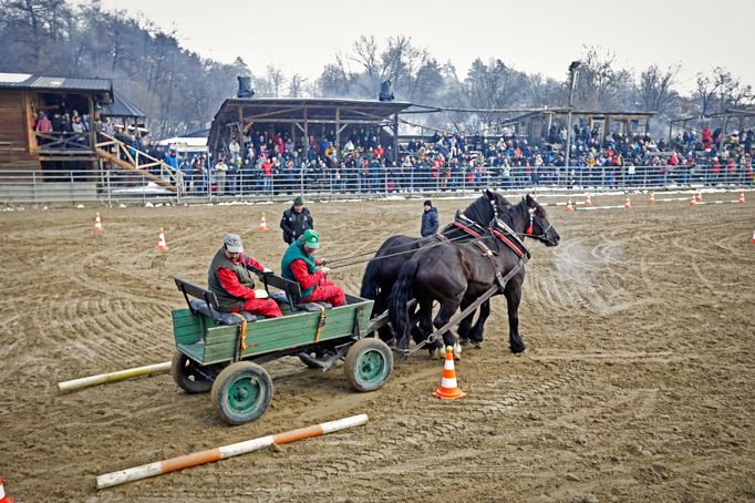 Záběr z Formanských závodů, které uskutečnily v sobotu 11. 2. 2023 ve městě Nemšová na severozápadním Slovensku.