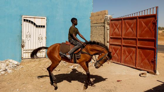 Objektivem reportérky: Příběh afrického chlapce, který sní o žokejské slávě