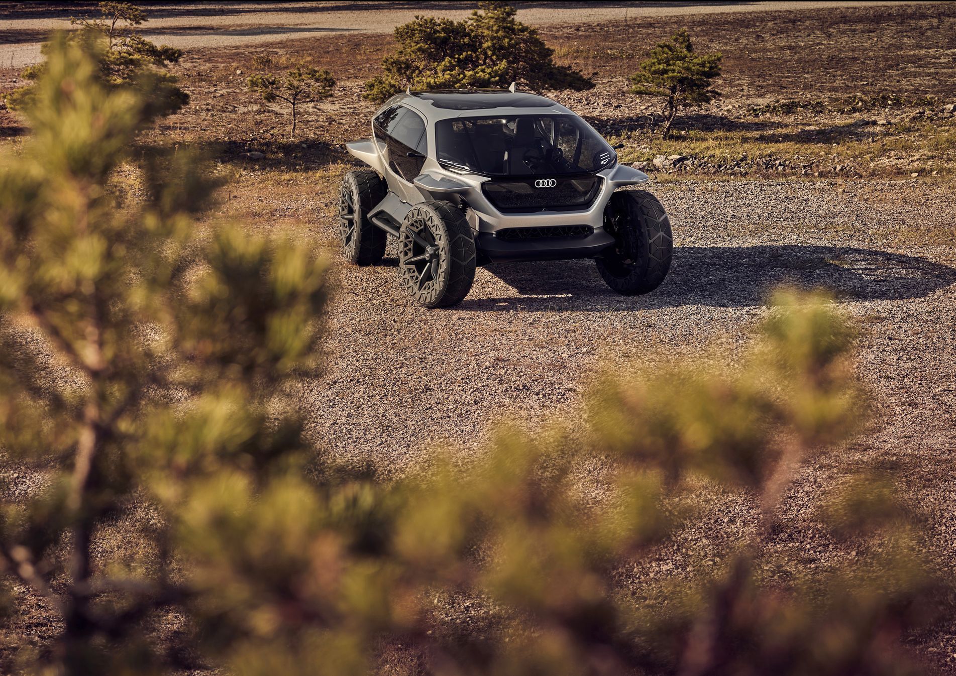 Audi AI:Trail