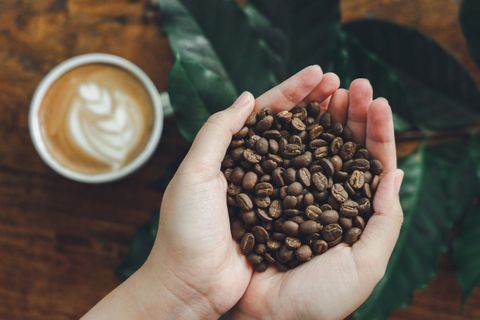 Káva není jen espresso a latté. Otestujte, co víte o druhé nejobchodovanější komoditě