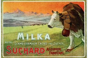 Odkdy je Milka fialová, co má společného s bernardýnem a proč se tak jmenuje? Projděte se historií
