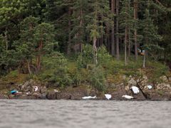 Mrtví po útoku šíleného střelce na březích norského ostrova Utoya.