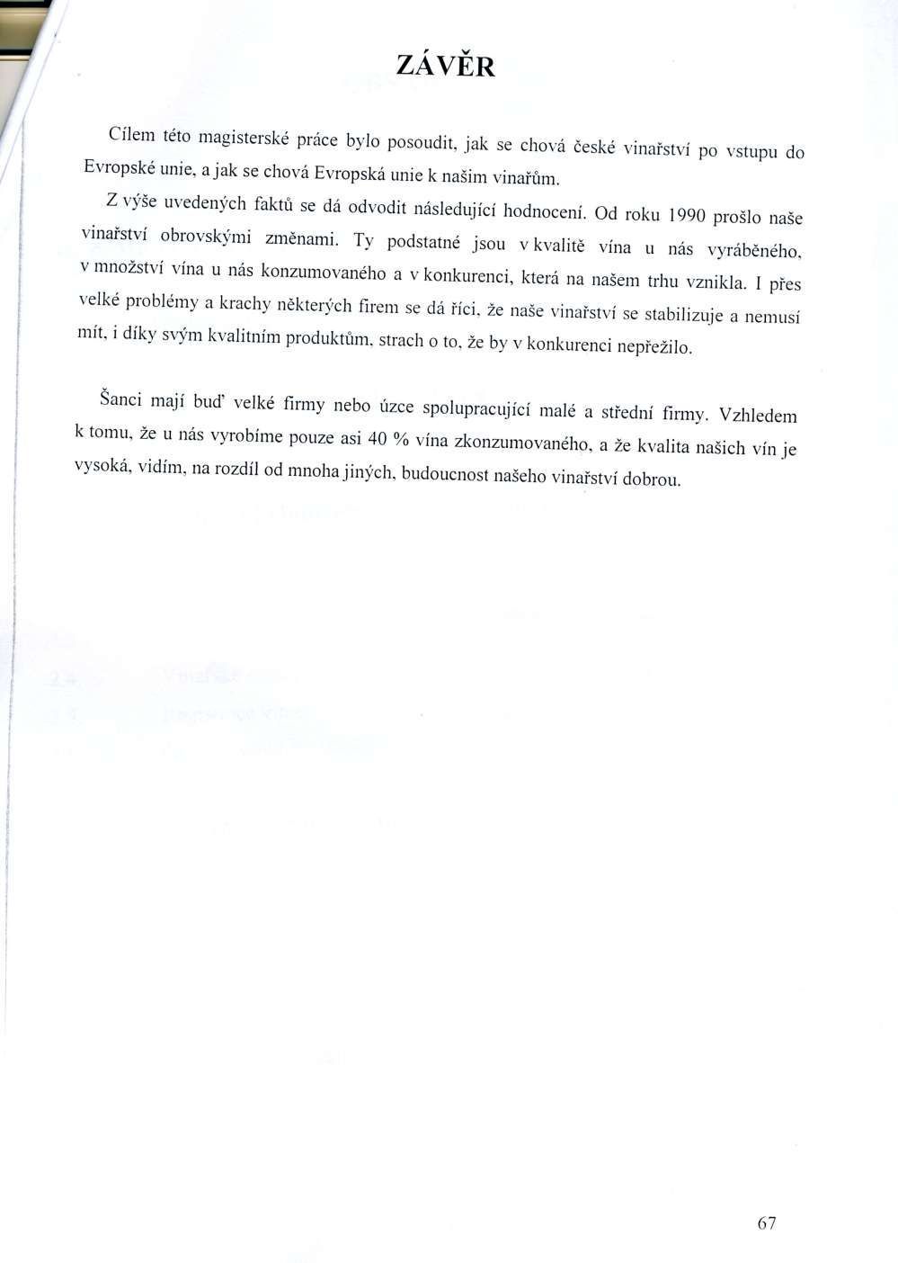 Diplomová práce - Suchánek - 6