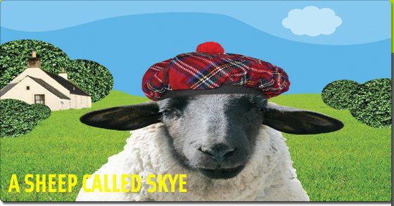 A Sheep Called Skye
