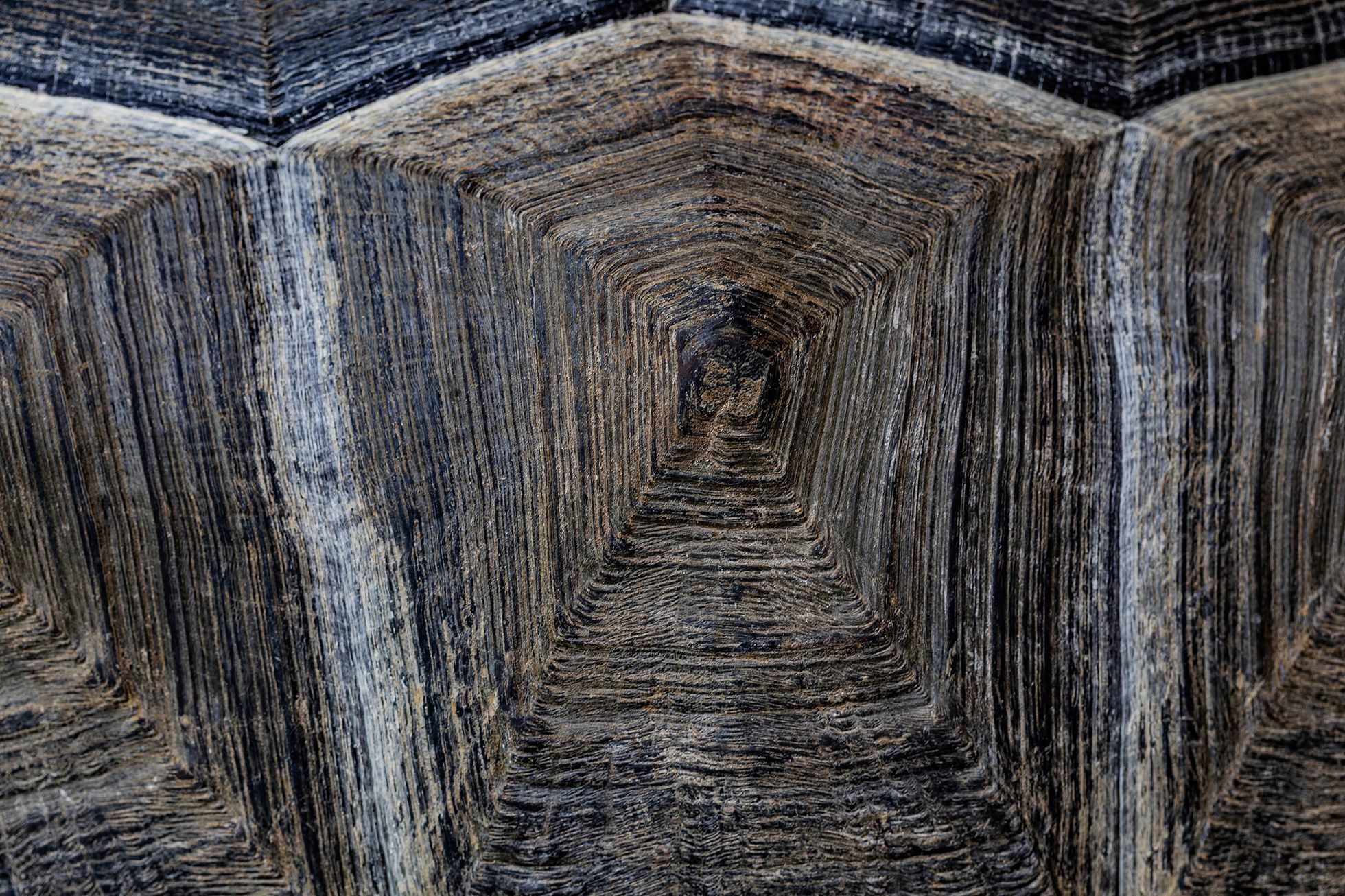 Czech Nature Photo Junior - nominace