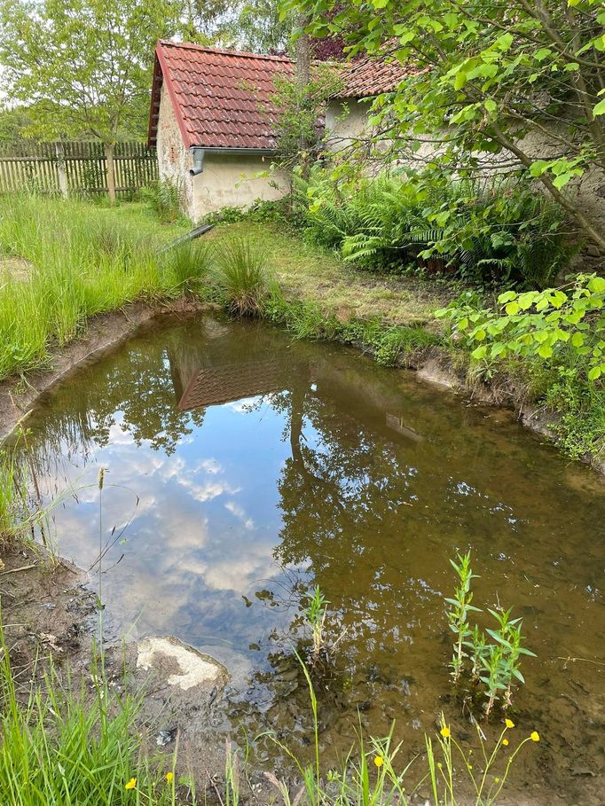 Tůň na zahradě.