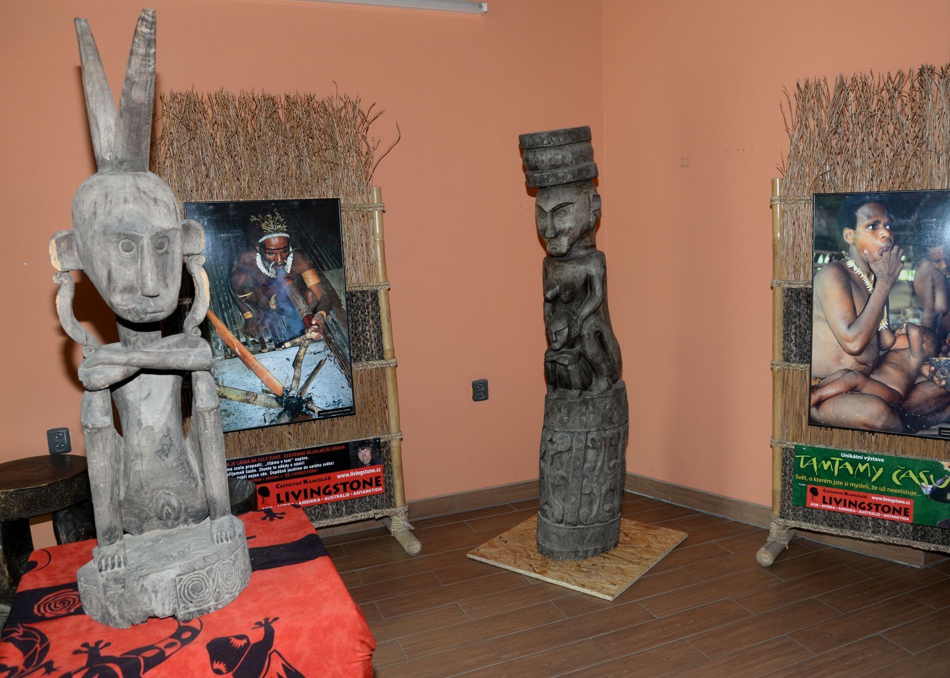 Tygři usurijští v olomoucké zoo