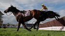 Horse Racing - Cheltenham Festival - Cheltenham Racecourse, Cheltenham, Britain - March 15, 2024 Paul Townend riding Galopin Des Champs in action alongside Fastorslow dur