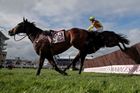 A ještě jeden obrázek jak z bájí a pověstí. Šestinohý kůň při Zlatém poháru v Cheltenhamu? Kdepak, to jen pohotový fotograf zachytil ve vzácném okamžiku Galopina Des Champs a Fastorslowa.