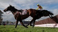 A ještě jeden obrázek jak z bájí a pověstí. Šestinohý kůň při Zlatém poháru v Cheltenhamu? Kdepak, to jen pohotový fotograf zachytil ve vzácném okamžiku Galopina Des Champs a Fastorslowa.