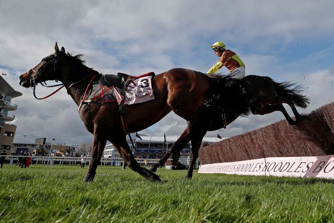 Horse Racing - Cheltenham Festival - Cheltenham Racecourse, Cheltenham, Britain - March 15, 2024 Paul Townend riding Galopin Des Champs in action alongside Fastorslow dur