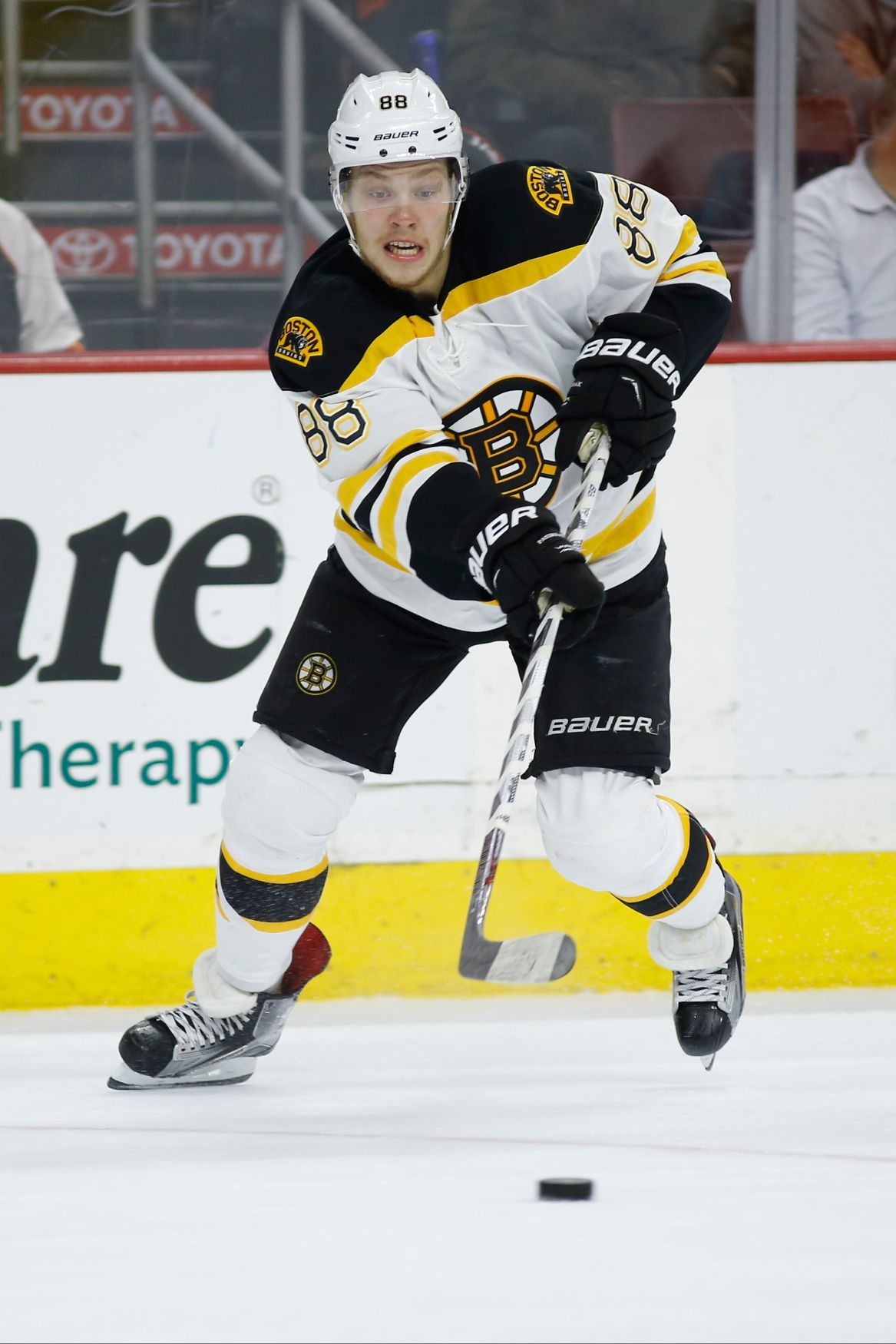 David Pastrňák v NHL 2015-16
