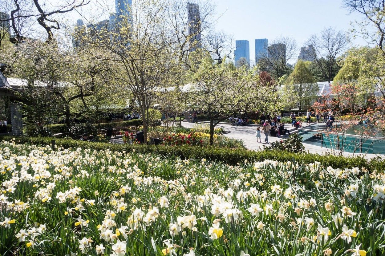 Central Park, New York, výročí, historie, USA, Zahraničí, park