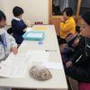 Japonsko rok po katastrofě - měření radiace potravin