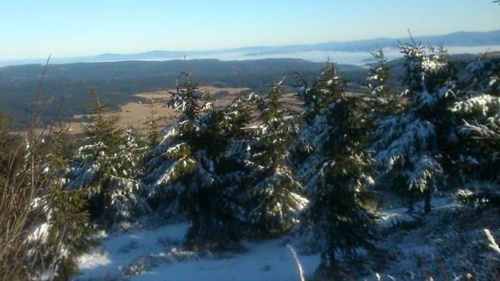 Skoro třetina stanic naměřila teplotní rekordy, bylo i přes 20 stupňů Celsia