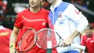 Finále Davis Cupu, zápas Radek Štěpánek - David Ferrer