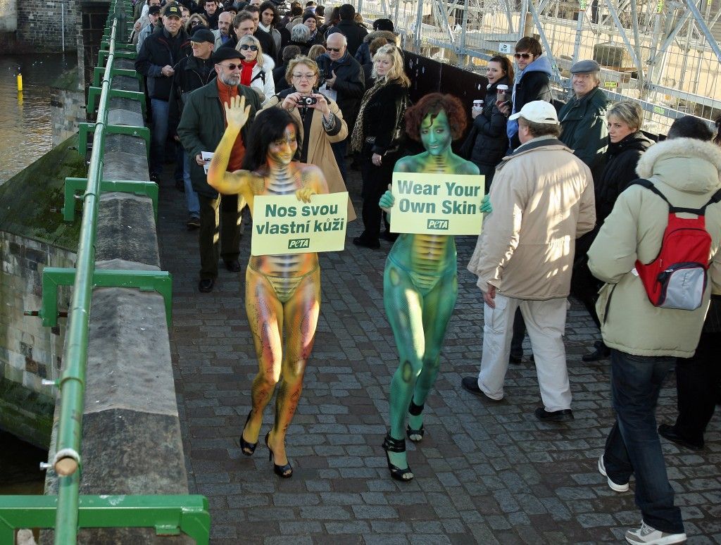 Protest proti stahování zvířat z kůže