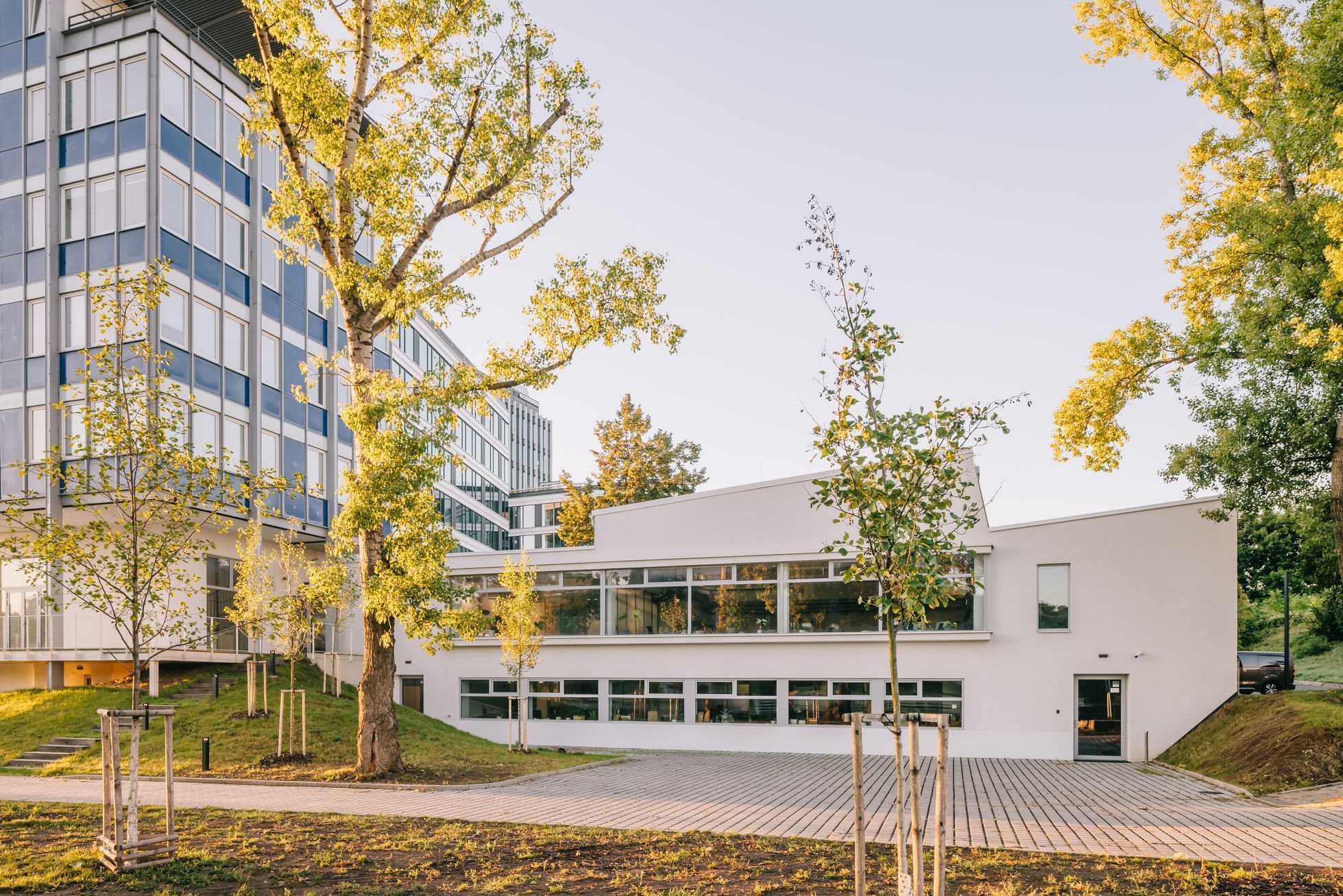 Panelárna, budova, architektura, Holešovice, Praha, ateliér, architekti