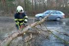Silný vítr trápil sever Moravy i Olomoucký kraj, polámané stromy komplikovaly dopravu