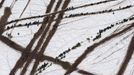 Aerial abstract view of cows and their muddy tracks through the snow. USA