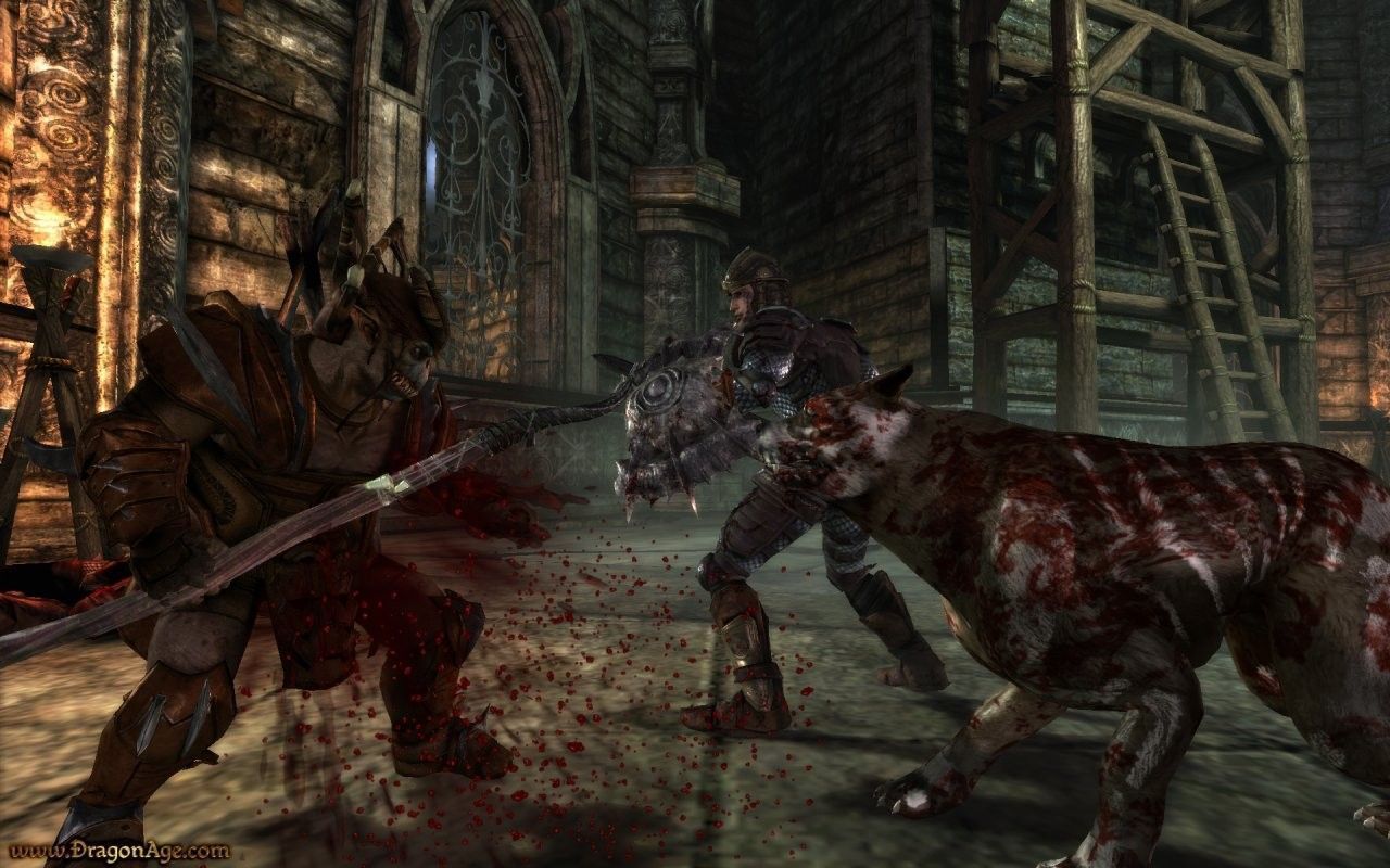 Dragon Age:Origins