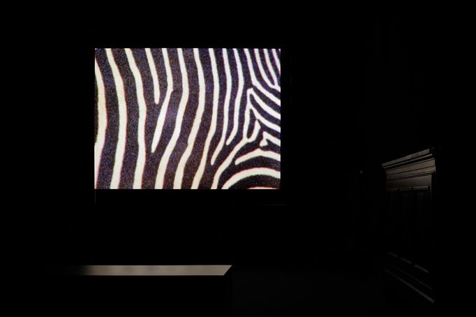 Compassion Fatigue Is Over, Haris Epaminonda, Chimera (2019).