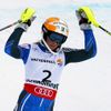 MS ve sjezodvém lyžování 2013, slalom: Frida Hansdotterová