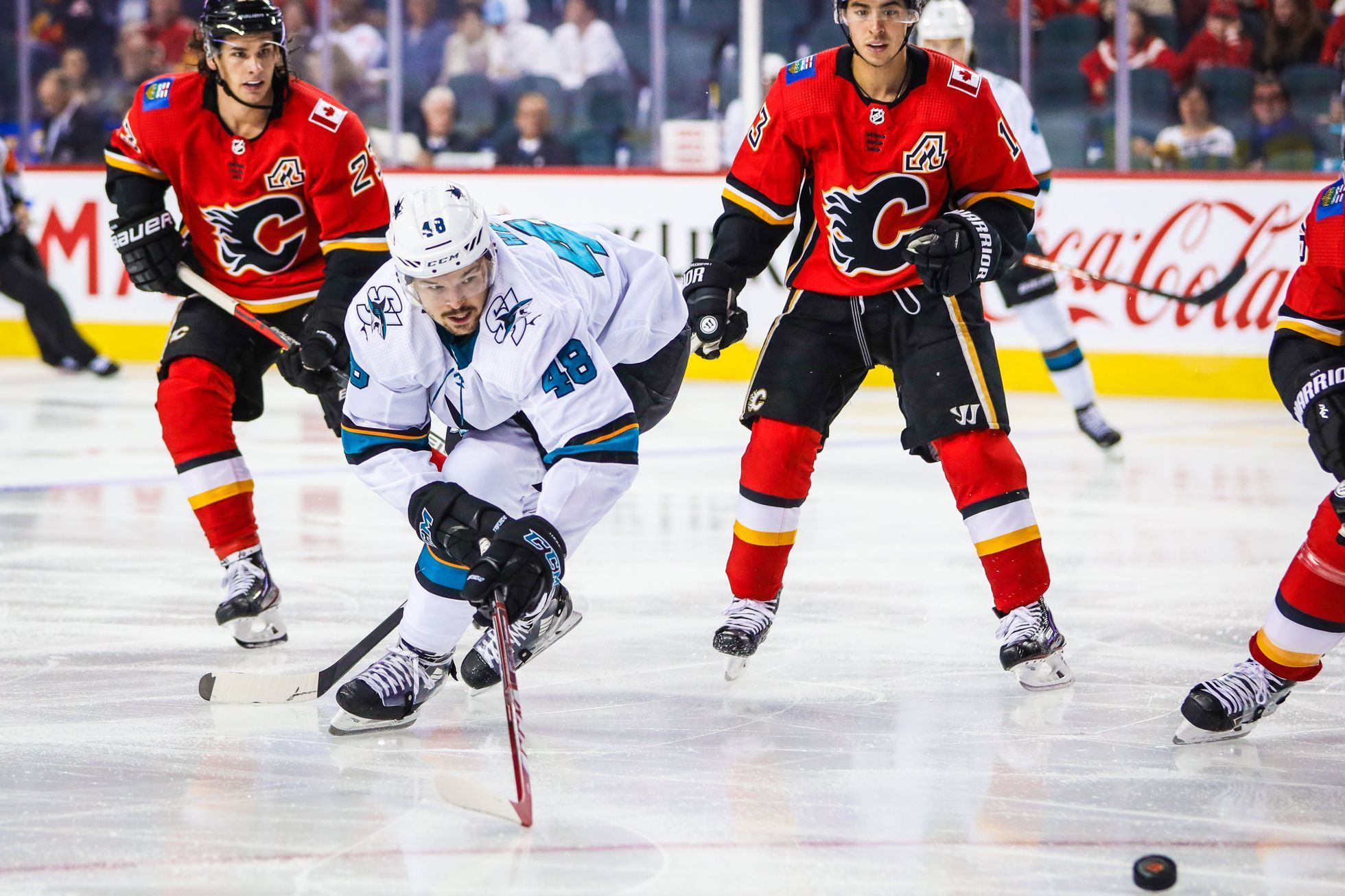 Sep 18, 2019; Calgary, Alberta, CAN; San Jose Sharks center Tomáš Hertl (48) reach for the puck against the Calgary Flames during the second period at Scotiabank Saddledo