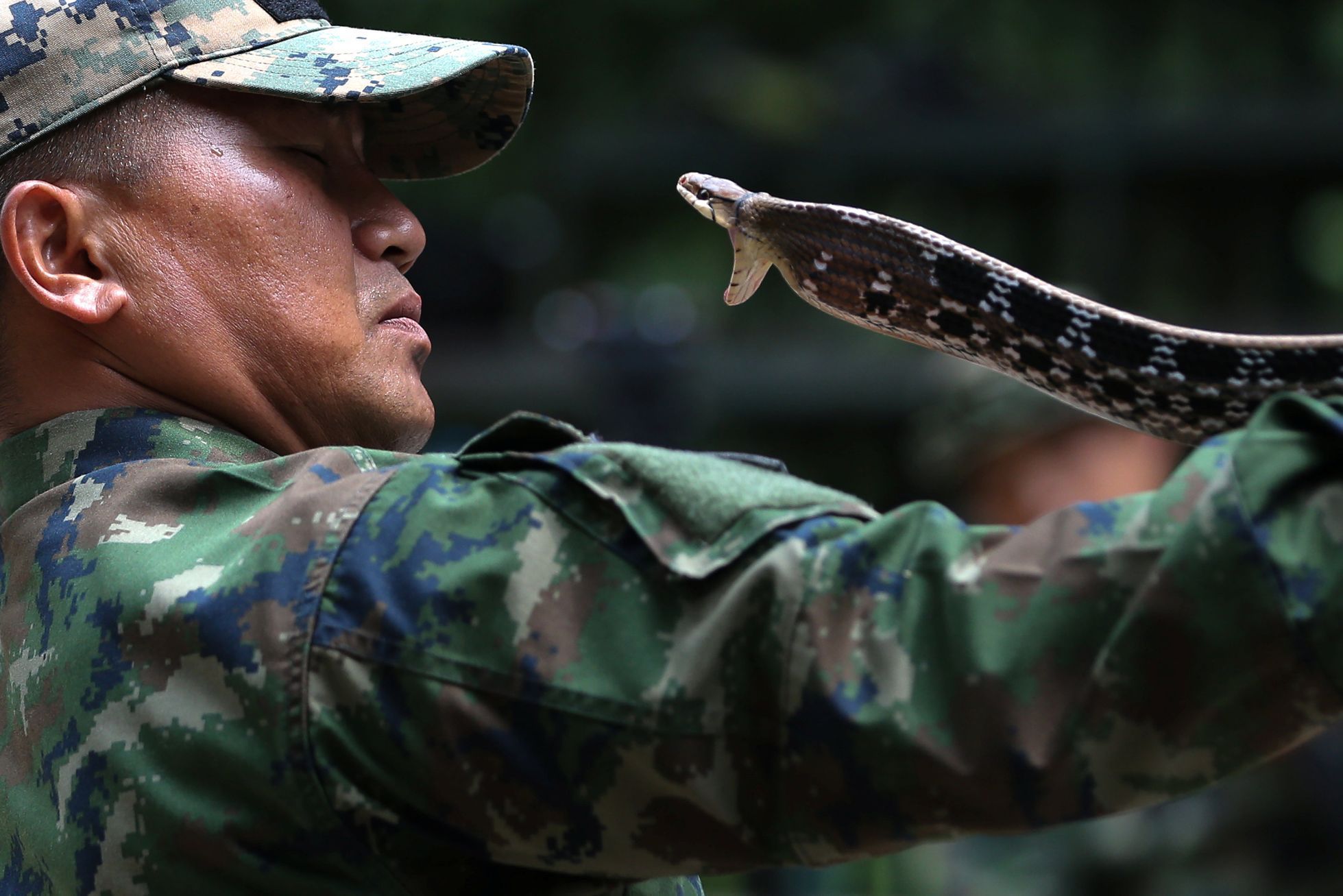 Mezinárodní cvičení Zlatá kobra v Thajsku