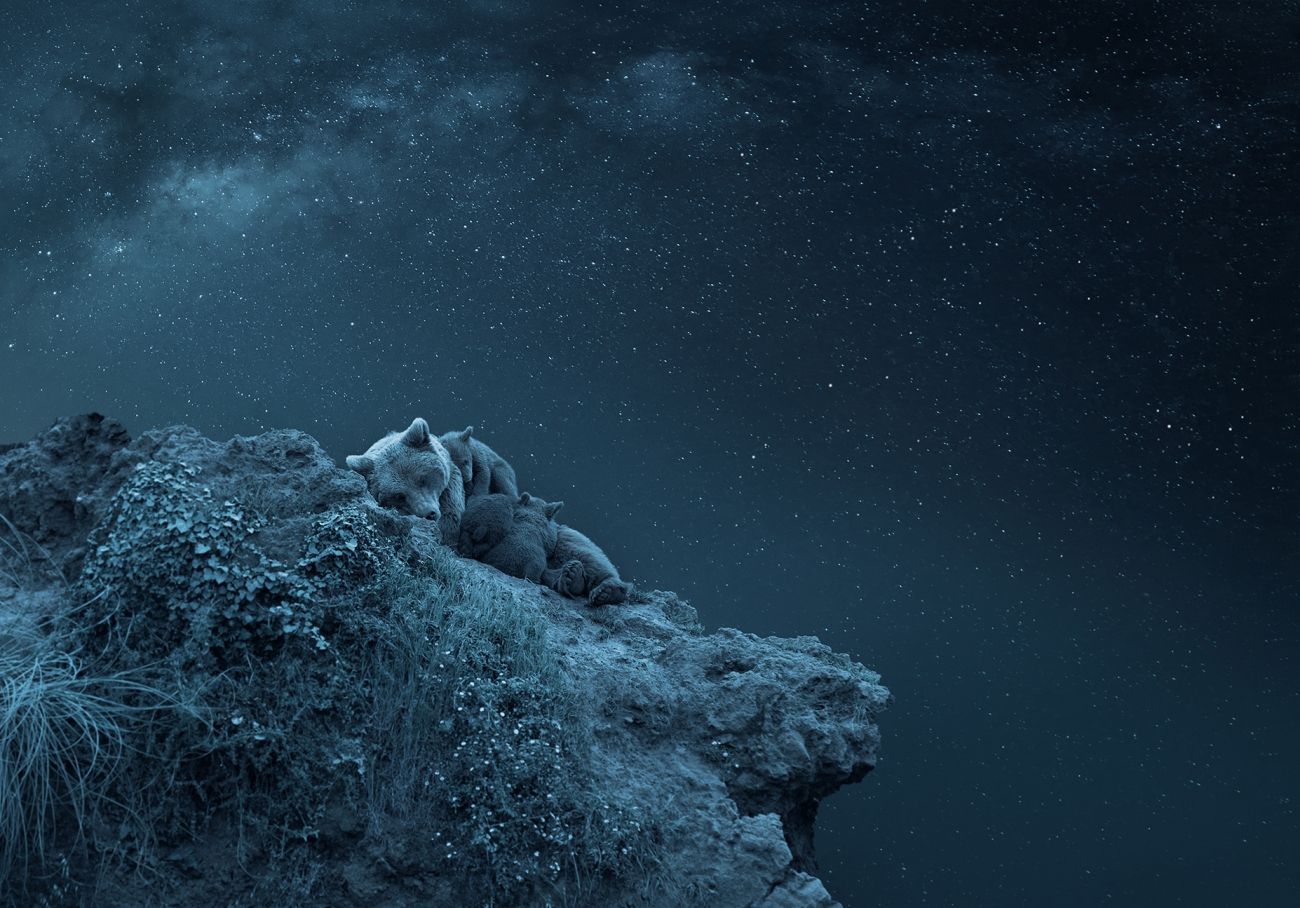 Vítězné a oceněné snímky ze soutěže Creative Photo Awards 2024