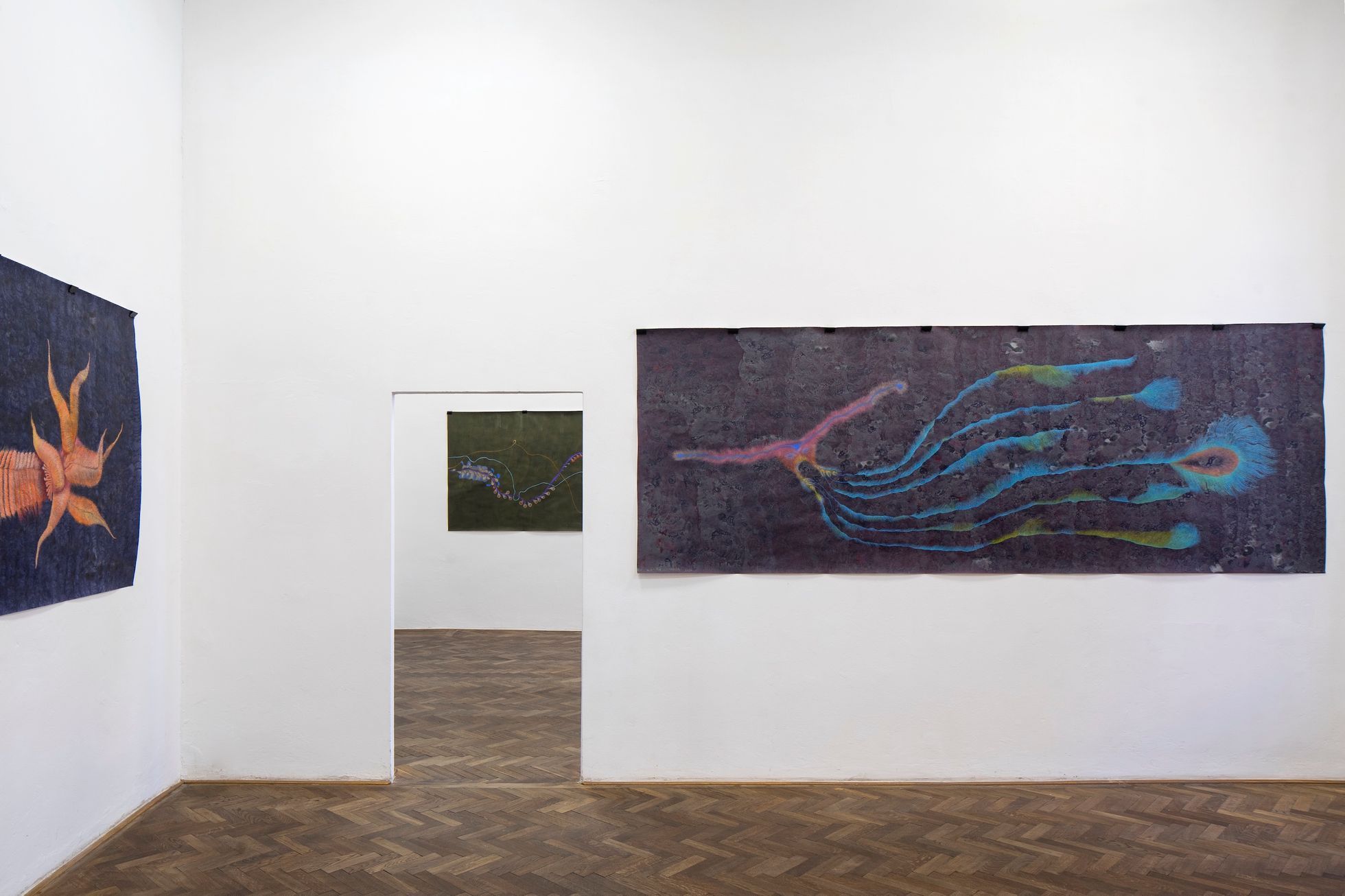 Erika Bornová: Šílenství je stráž noci