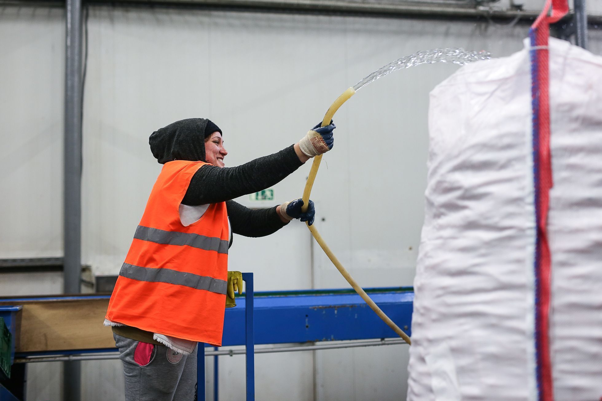 Křivá zelenina, 2. jakost, Odbytové družstvo Polabí - dodavatel zeleniny pro Tesco