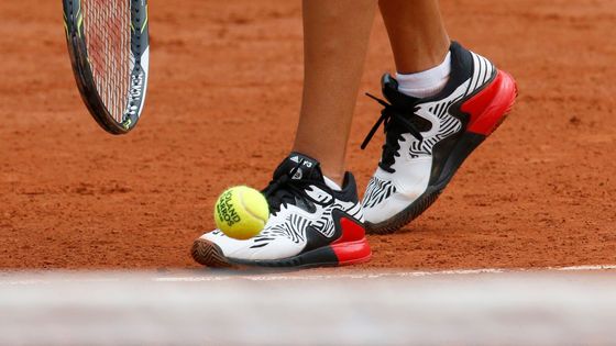 Jak dobře znáte světovou tenisovou elitu na French Open? Pokuste se v galerii poznat, komu patří tenistky, rakety či jiné další detaily.