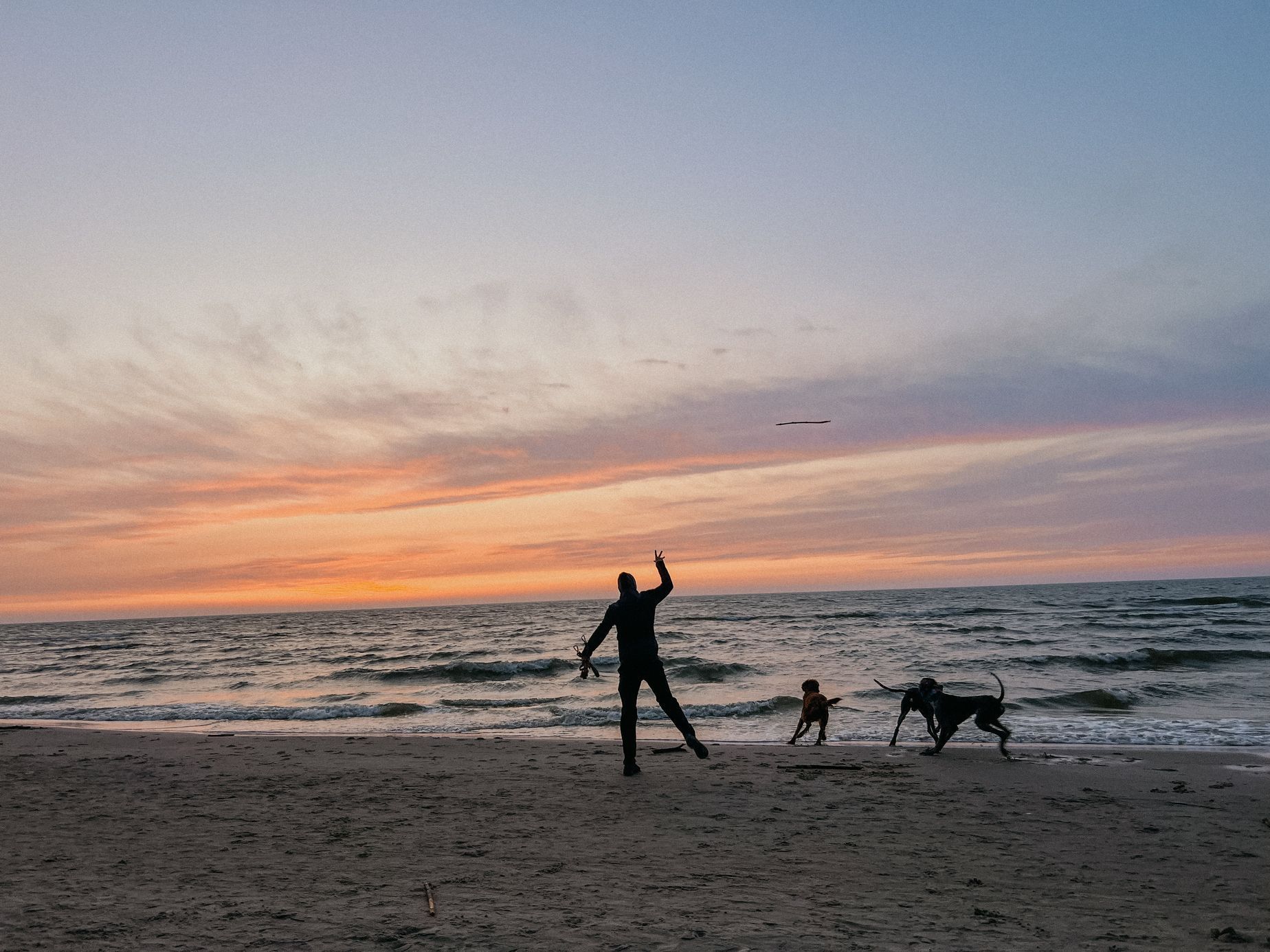 polsko balt hrad malbork pes moře