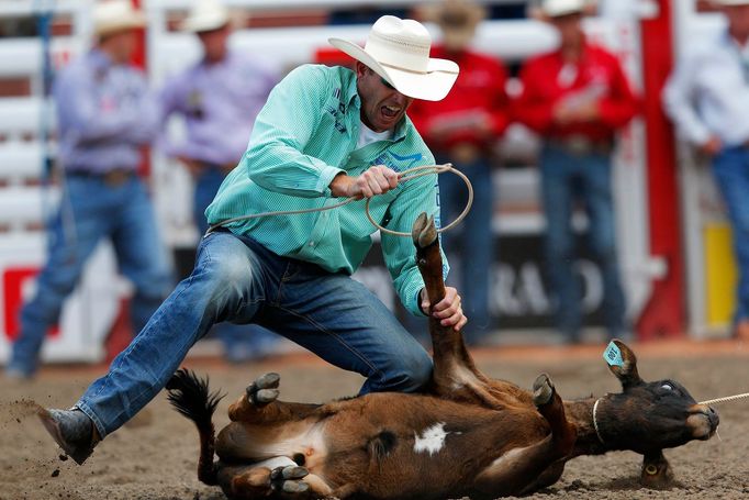 Rodeo v Calgary