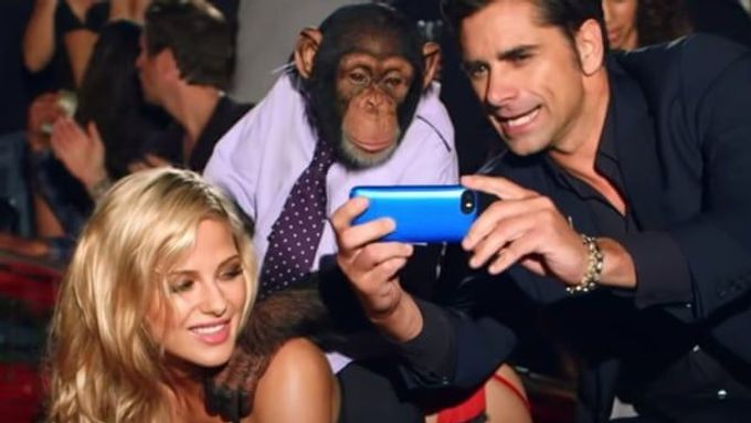 "Využívání šimpanzů v zábavním průmyslu je zcela nemorální," kritizují aktivisté nový videoklip punkrockové kapely The Offspring.