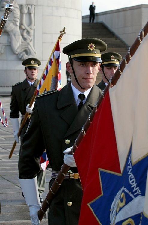 Slavnostní nástup ke Dni veteránů na Vítkově