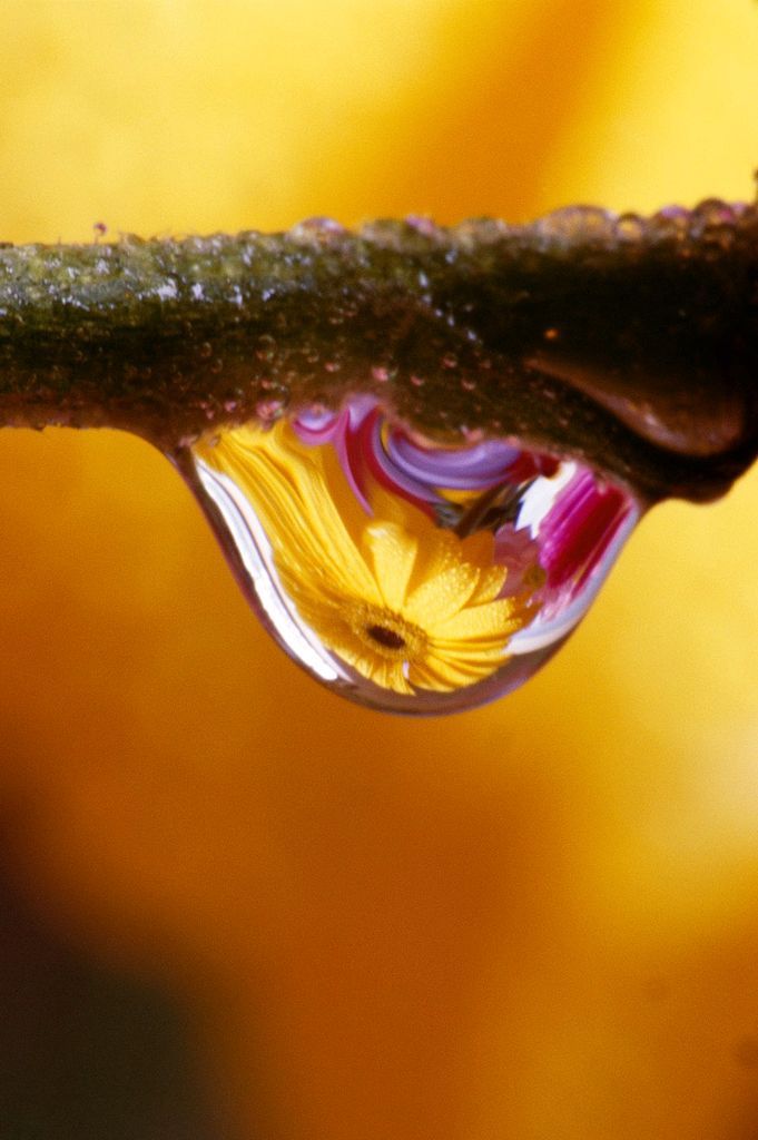 4/12| Fotogalerie: Krásné odrazy reality skrze vodní kapky