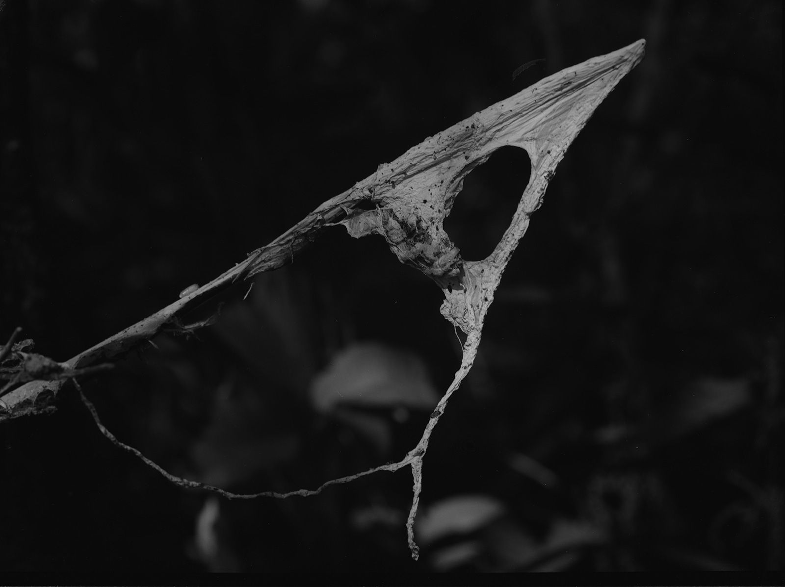 Karel Kuklík - výstava fotografií v Galerii Hlavního města Prahy