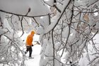 Sněhová bouře zasáhla střední část Spojených států