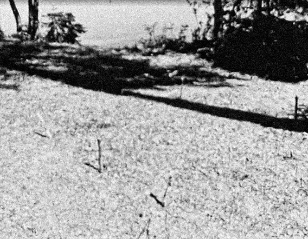 Jednorázové užití / Fotogalerie / Od temného mystéria bodamských vražd uplynulo již 60 let.