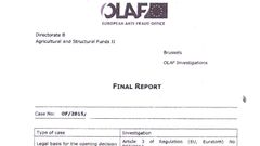 OLAF_final report