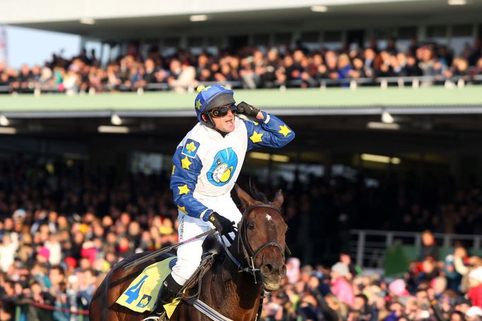 Velká Pardubice 2015: vítěz Marek Stromský na koni Nikasovi