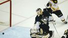 Pittsburgh Penguins - Boston Bruins (Vokoun a Ference)