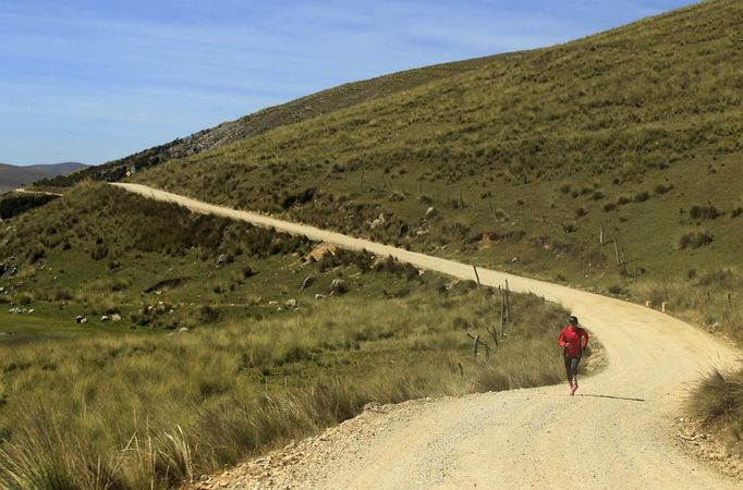 Marathon runner Gladys Tejeda, the first Peruvian athlete who qualified for the 2012 London Olympic Games, runs during her training in the Andean province of Junin May 14, 2012. A private company will take Gladys' mother Marcelina Pucuhuaranga, 69, to London as part of the "Thank you Mom" program. For Pucuhuaranga, who received her first passport, it will be the first time travelling out of Peru. The program will take about 120 mothers of different athletes around the world to attend the games. Tejeda, the youngest of nine children, returned to her hometown to visit her mother and to focus on training where she will run more than 20 km every day in the highlands (over 4,105 meters above sea level). Picture taken May 14, 2012. REUTERS/Pilar Olivares(PERU - Tags: SPORT ATHLETICS OLYMPICS) Published: Kvě. 17, 2012, 6:13 odp.